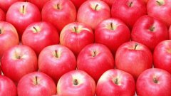 苹果行情朴树迷离　市场回暖是否能挽回损失？